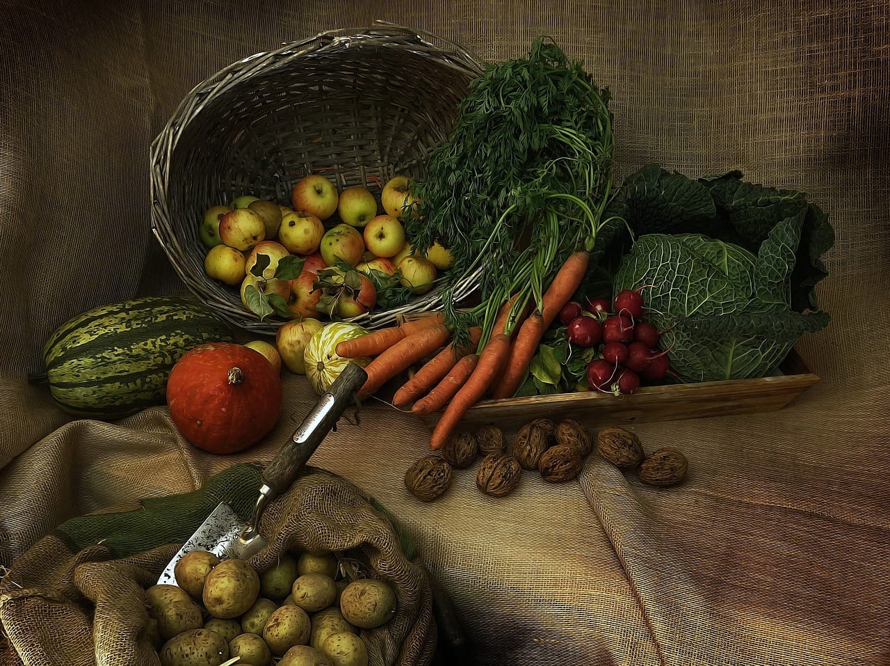 vegetables-still-life-photography